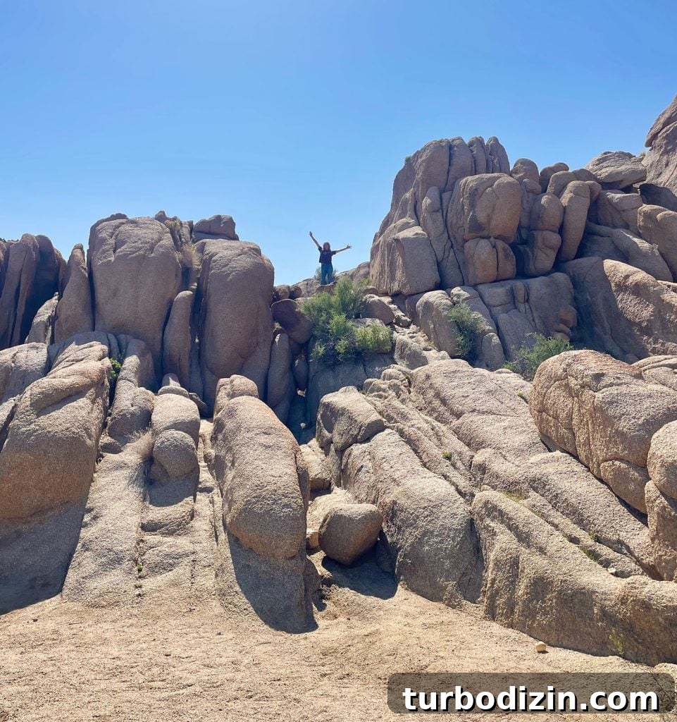 Family Weekend Guide to Palm Springs With Kids 10 Girl Atop Climbed Rocks in Joshua Tree National Park