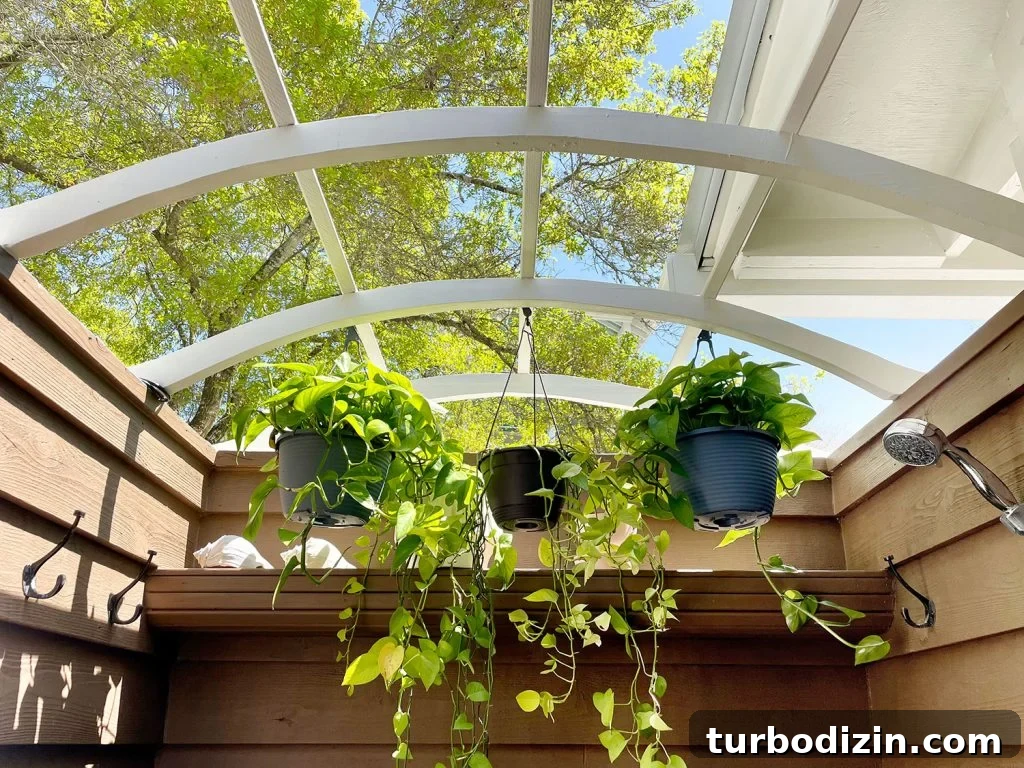 View Of Tree Through Open Top Of Outdoor Shower