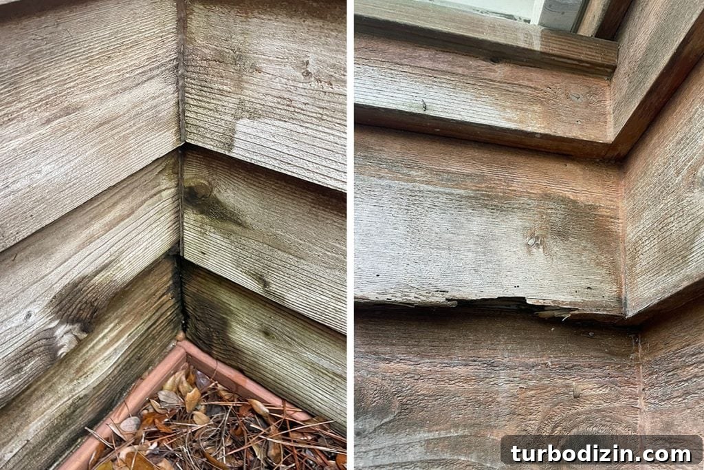 Two Examples Of Rotted Cedar Siding In Outdoor Shower