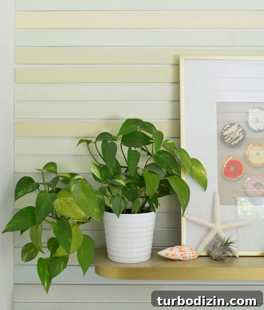 Golden Pothos Care Guide: Watering, Light, and Growth Tips 8 Gold Pothos On Colorful Striped Wall