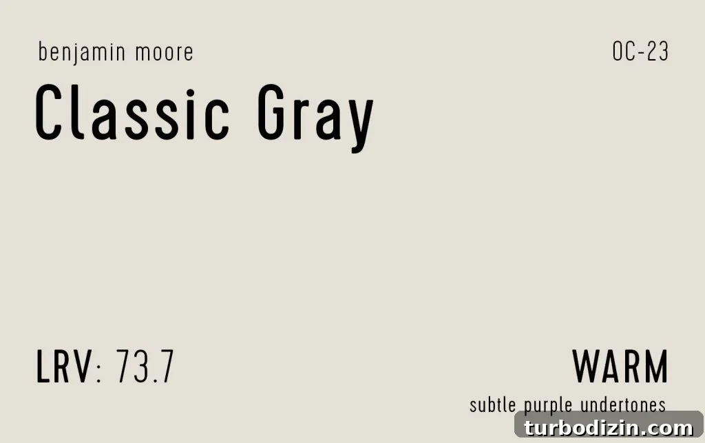 9 Expert-Recommended Greige Paint Colors You’ll Love 13 Benjamin Moore Classic Gray Information Swatch
