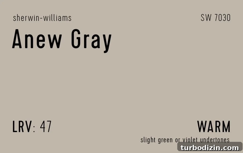 9 Expert-Recommended Greige Paint Colors You’ll Love 14 Sherwin-Williams Anew Gray Information Swatch