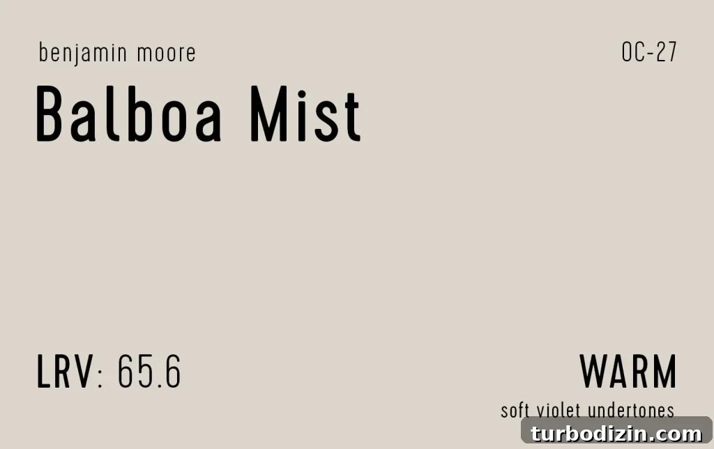 9 Expert-Recommended Greige Paint Colors You’ll Love 19 Benjamin Moore Balboa Mist Information Swatch