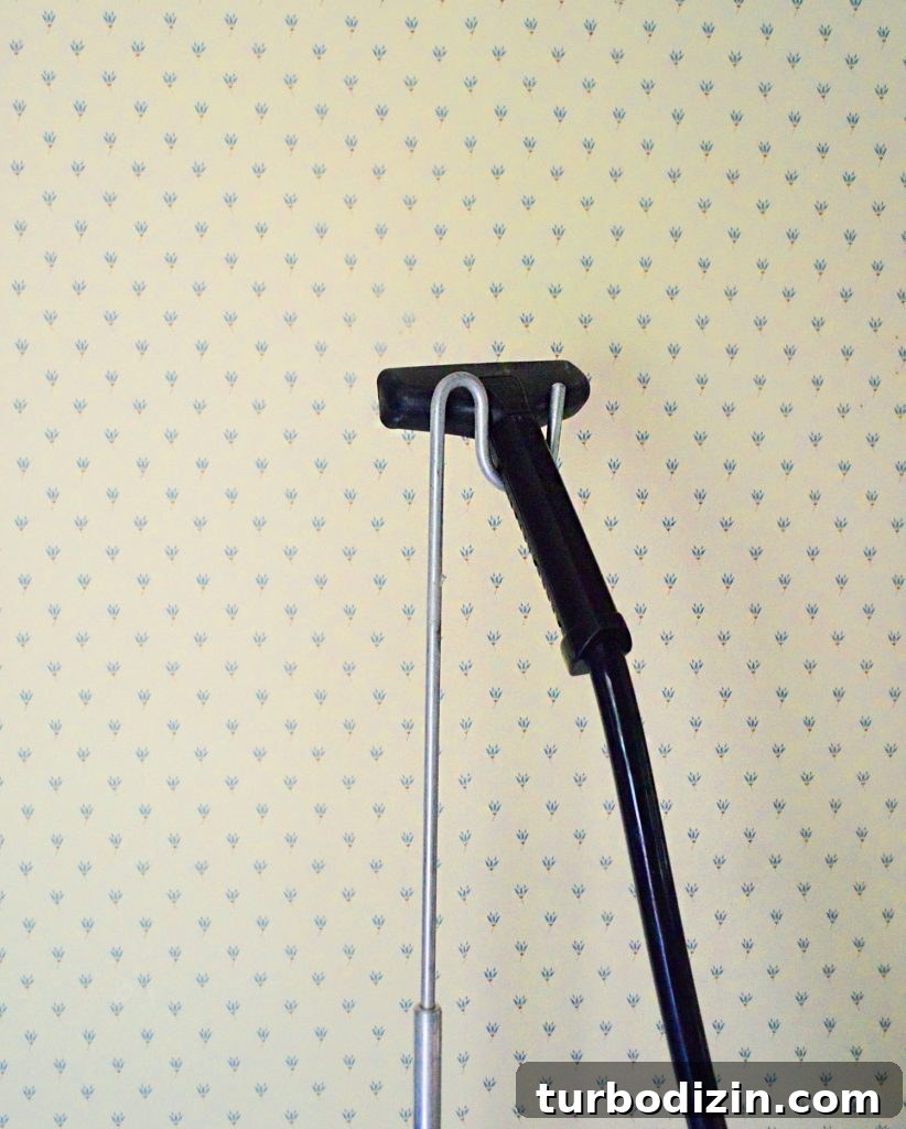 Traditional Wallpaper With Steamer Hose