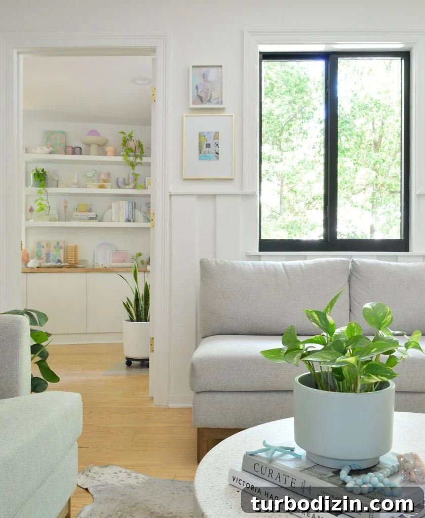 9 Low-Light Indoor Plants That Thrive Without Much Sunlight 2 Houseplants In Living Area Without Much Sunlight Pothos Snake Plant