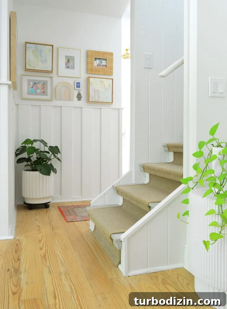 9 Low-Light Indoor Plants That Thrive Without Much Sunlight 5 Monstera And Pothos In Low Light Hallway