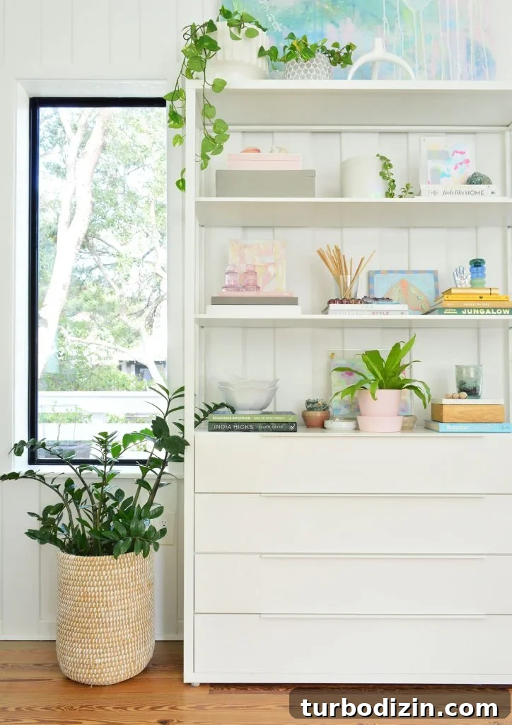 Top Air-Purifying Houseplants for Cleaner Indoor Air 2 Ikea Shelf With Light Decor And Plants