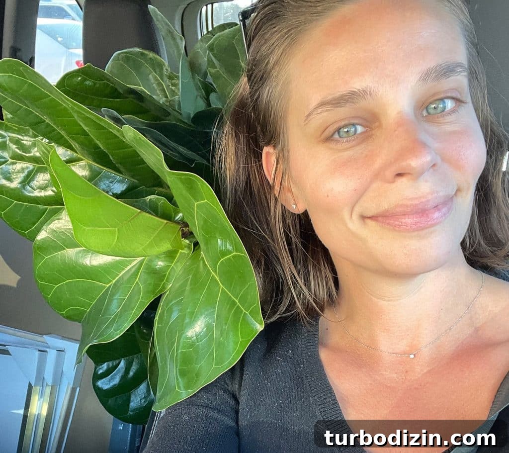 Top Air-Purifying Houseplants for Cleaner Indoor Air 4 Sherry sitting with fiddle leaf fig in car
