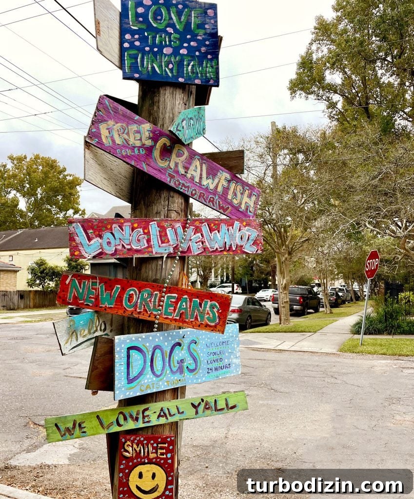 48 Hours in New Orleans with Kids: Family Weekend Guide 11 Colorful Painted Signs On Street Post In New Olreans Garden Distrcit