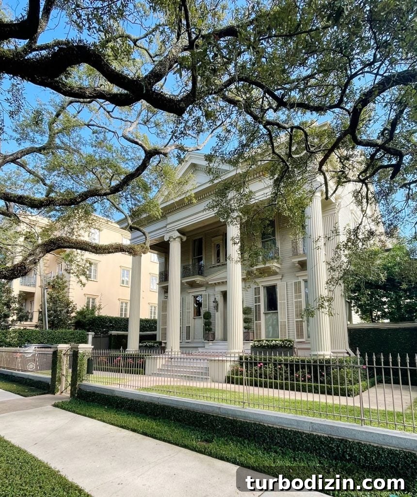 48 Hours in New Orleans with Kids: Family Weekend Guide 12 img 114730 11
