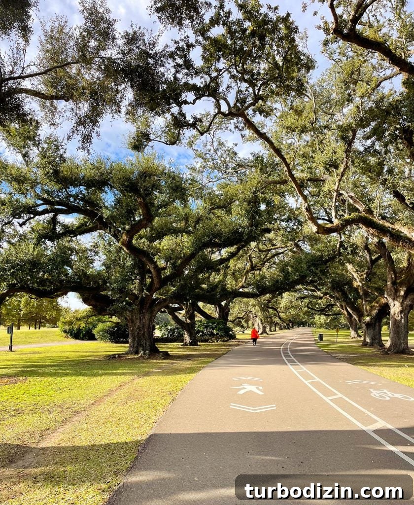 48 Hours in New Orleans with Kids: Family Weekend Guide 14 Paved Bike Walking Path In Audubon Park New Orleans