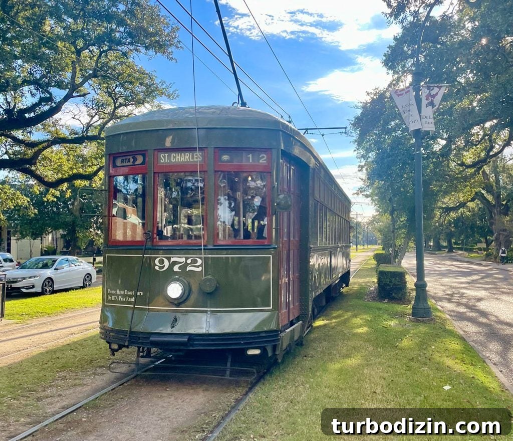 48 Hours in New Orleans with Kids: Family Weekend Guide 15 img 114730 14