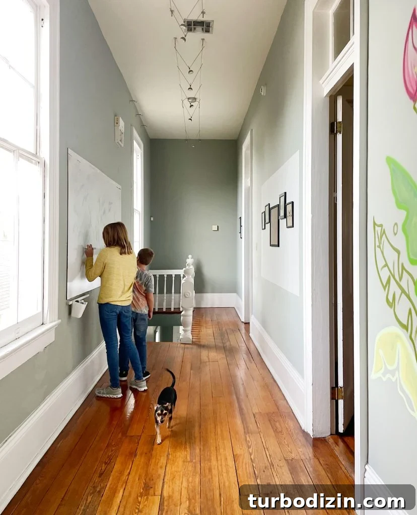 48 Hours in New Orleans with Kids: Family Weekend Guide 6 Dog-friendly Airbnb In New Orleans Magazine Street With Large Whiteboard