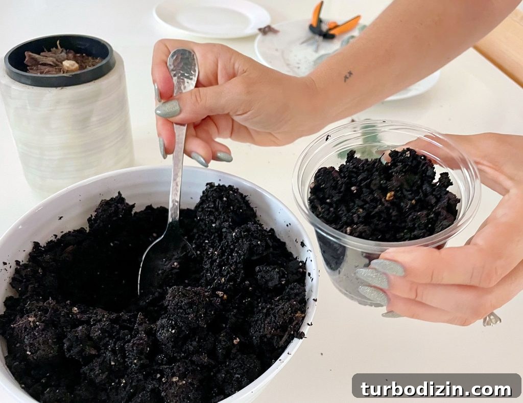 Succulent Propagation Guide: Step-by-Step Methods for Success 9 Filling Clear Nursery Pot With Cactus Mix Potting Soil