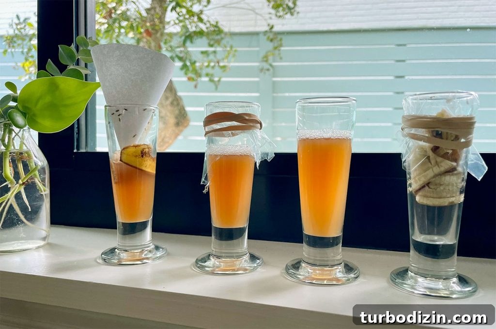 Get Rid of Fruit Flies Fast Using Items You Already Have at Home 4 4 DIY Fruit Fly Traps Tested On Windowsill