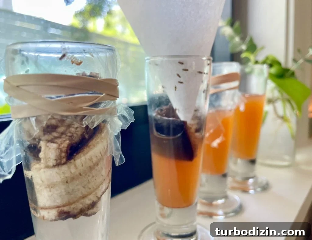 Get Rid of Fruit Flies Fast Using Items You Already Have at Home 6 4 DIY Fruit Fly Traps Close Up