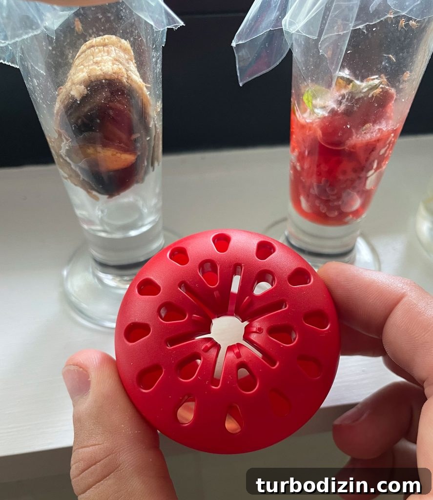 Get Rid of Fruit Flies Fast Using Items You Already Have at Home 10 Terro Fruit Fly Apple Trap With No Fruit Flies In It