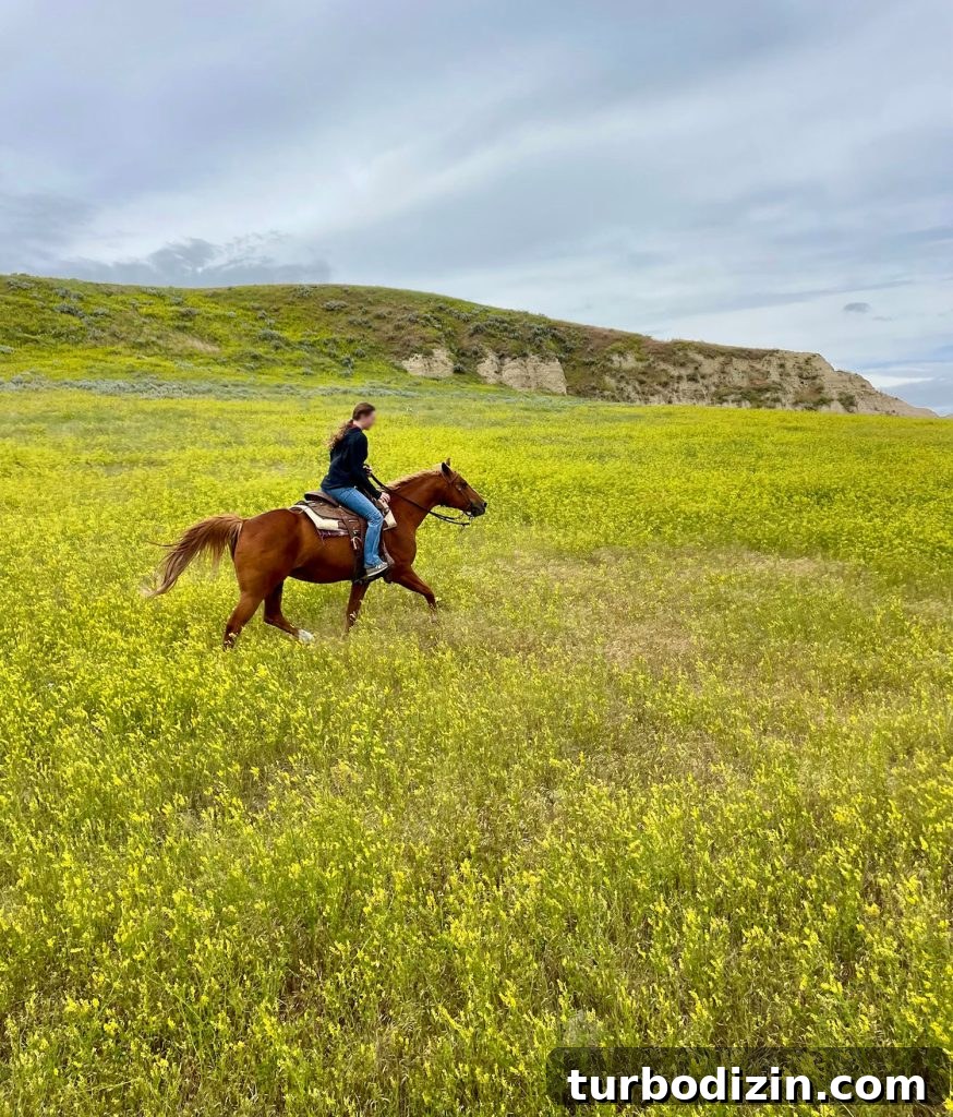 South Dakota Summer Road Trip: Top Sights & Itinerary Ideas 13 Girl On Horseback In Field Of Yellow Wildflowers In South Dakota