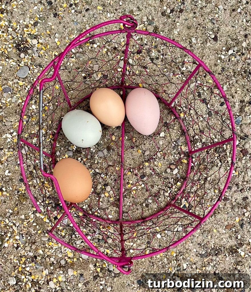 South Dakota Summer Road Trip: Top Sights & Itinerary Ideas 9 Basket of multicolored eggs collected on farm
