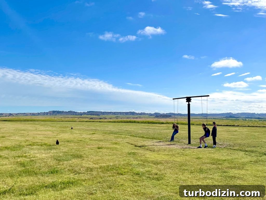 South Dakota Summer Road Trip: Top Sights & Itinerary Ideas 10 Kids Playing On Swing At Ranch Badlands National Park South Dakota