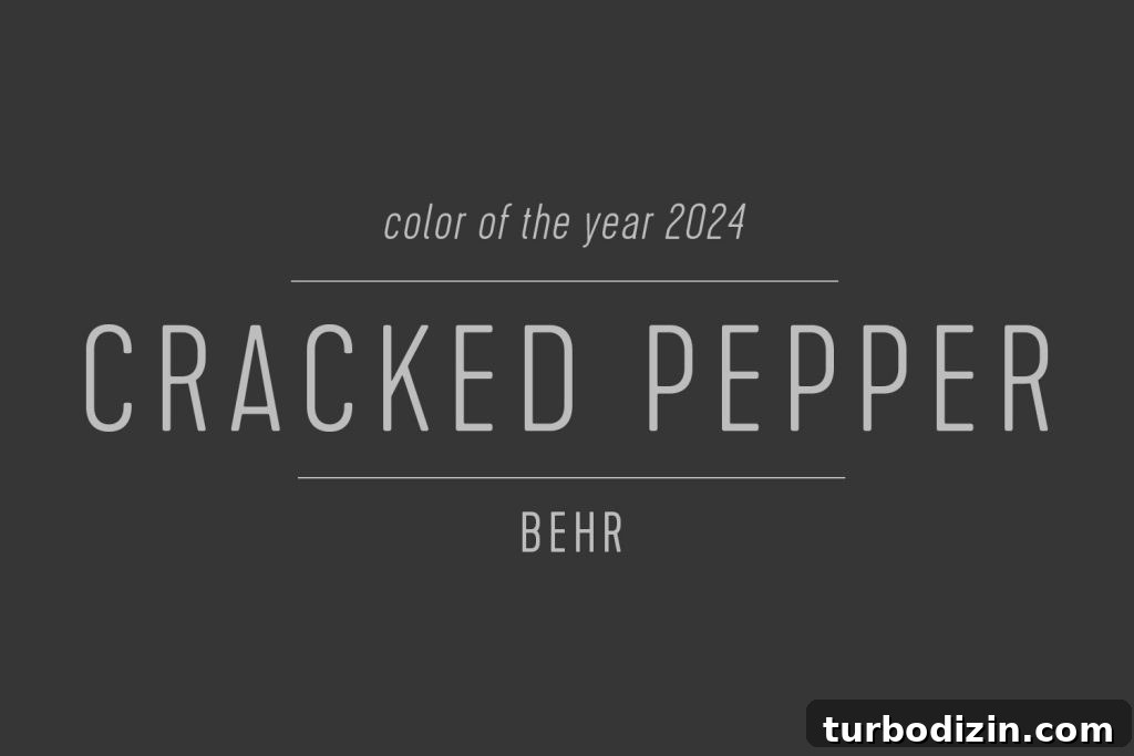 All 2024 Colors of the Year: Complete Guide to Every Shade 11 Color Swatch of Behr Color Of The Year 2024 Cracked Pepper