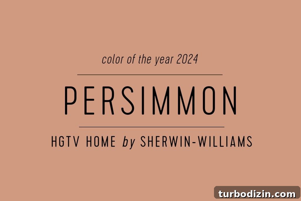 All 2024 Colors of the Year: Complete Guide to Every Shade 13 Color Swatch of HGTV Home by Sherwin Williams Color Of The Year 2024 Persimmon