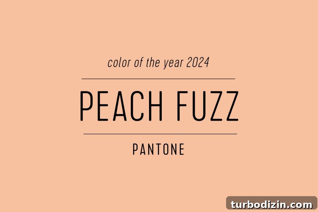 All 2024 Colors of the Year: Complete Guide to Every Shade 5 Color Swatch of Pantone Color Of The Year 2024 Peach Fuzz