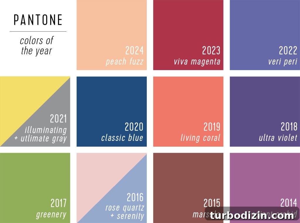 All 2024 Colors of the Year: Complete Guide to Every Shade 6 Color Swatch of Pantone Color Of The Year 2024 Peach Fuzz