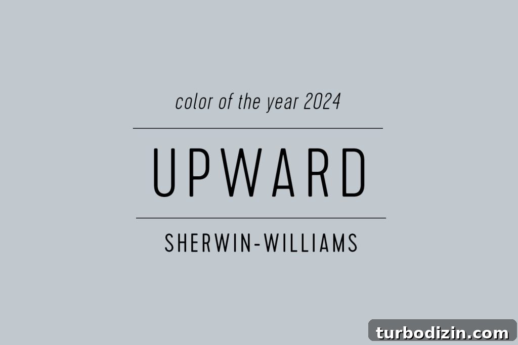 All 2024 Colors of the Year: Complete Guide to Every Shade 9 Color Swatch of Sherwin Williams Color Of The Year 2024 Upward