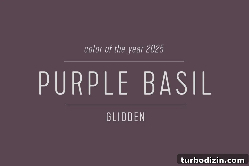 All 2025 Colors of the Year: Complete Guide in One Place 15 Glidden Paint Color of the Year 2025 Purple Basil