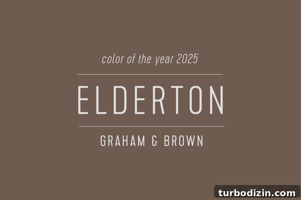 All 2025 Colors of the Year: Complete Guide in One Place 25 Swatch of Elderton Graham & Brown Color Of The Year 2025