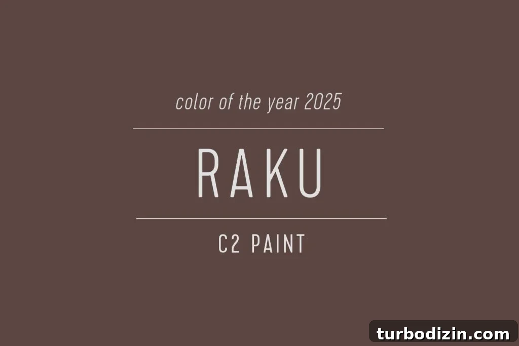 All 2025 Colors of the Year: Complete Guide in One Place 26 C2 Paint Paint Color of the Year 2025 Raku