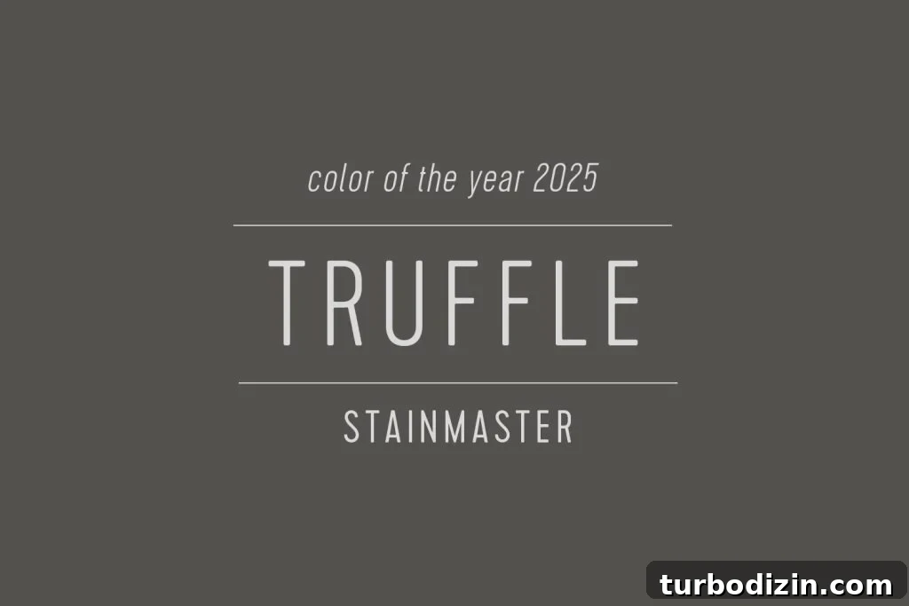 All 2025 Colors of the Year: Complete Guide in One Place 27 Stainmaster Paint Color of the Year 2025 Truffle