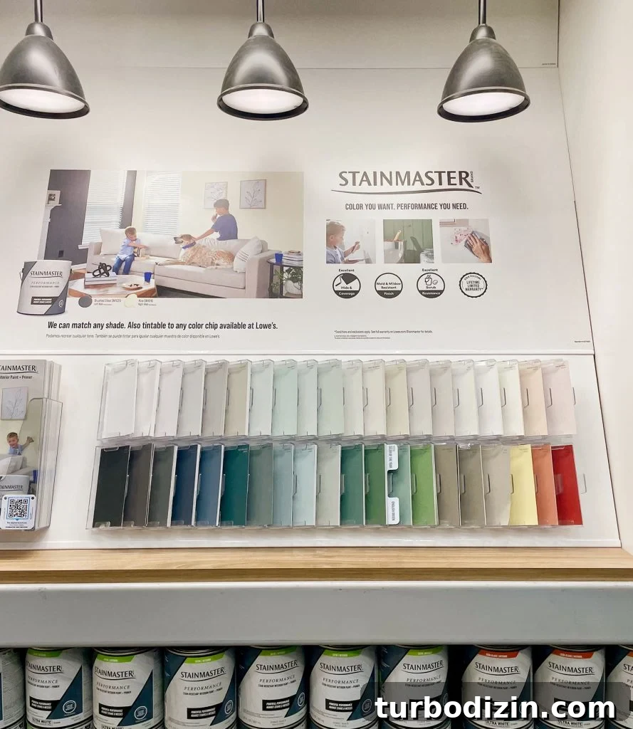 All 2025 Colors of the Year: Complete Guide in One Place 28 Stainmaster Paint Display