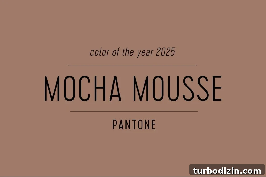 All 2025 Colors of the Year: Complete Guide in One Place 5 Pantone Color of the Year 2025 Mocha Mousse Large Swatch