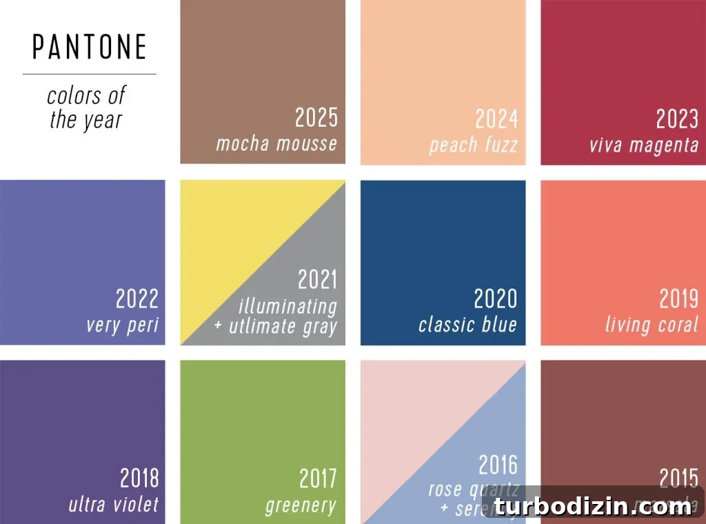 All 2025 Colors of the Year: Complete Guide in One Place 6 Pantone Colors of the Year 2025 Over The Years