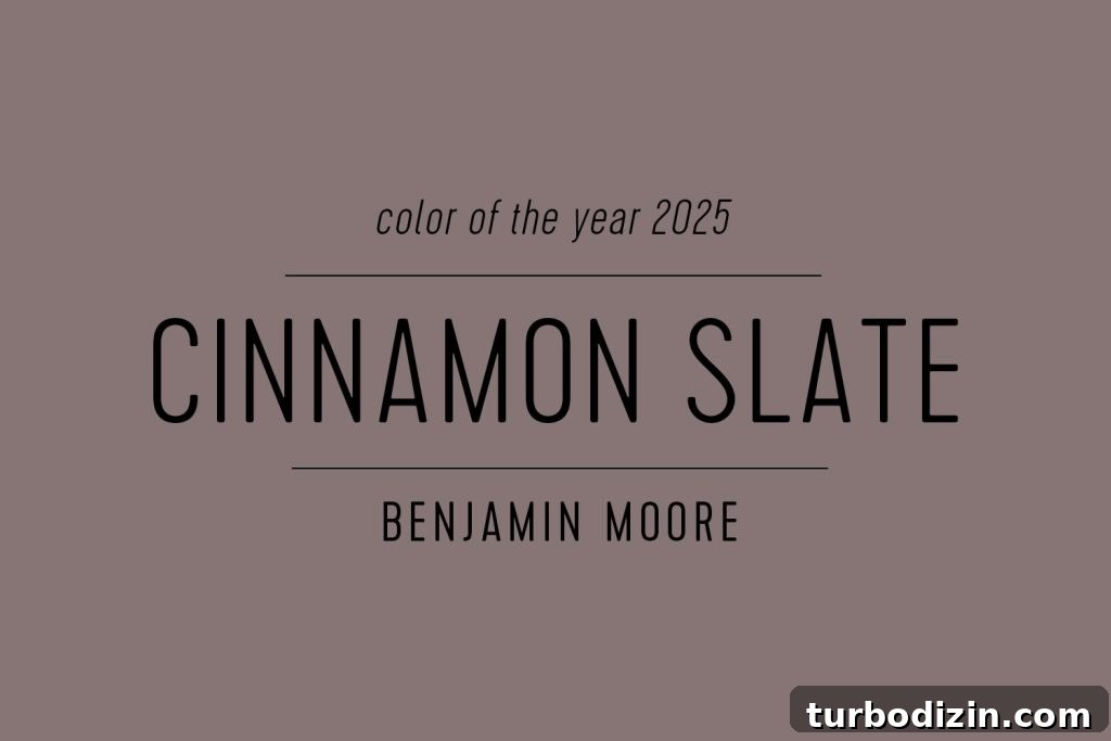 All 2025 Colors of the Year: Complete Guide in One Place 7 Benjamin Moore Paint Color of the Year 2025 Cinnamon Slate