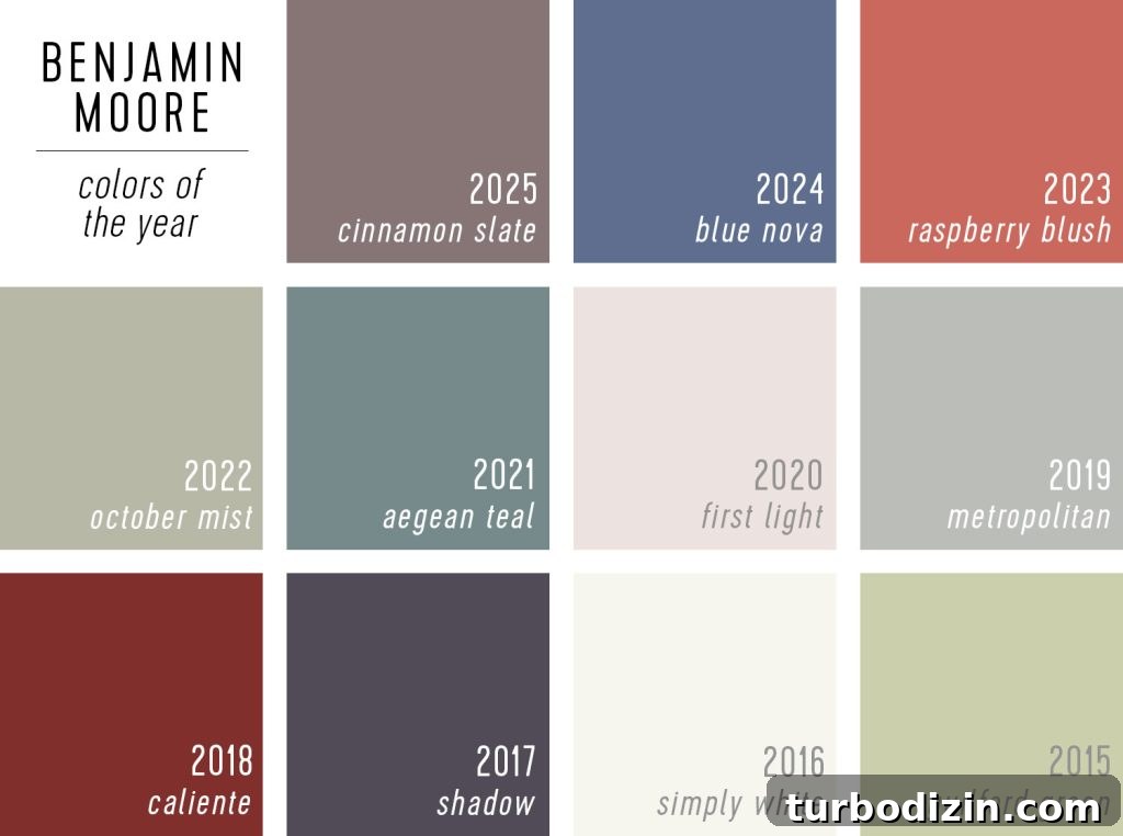 All 2025 Colors of the Year: Complete Guide in One Place 8 Swatches of Benjamin Moore Color of the Year Selections 2025