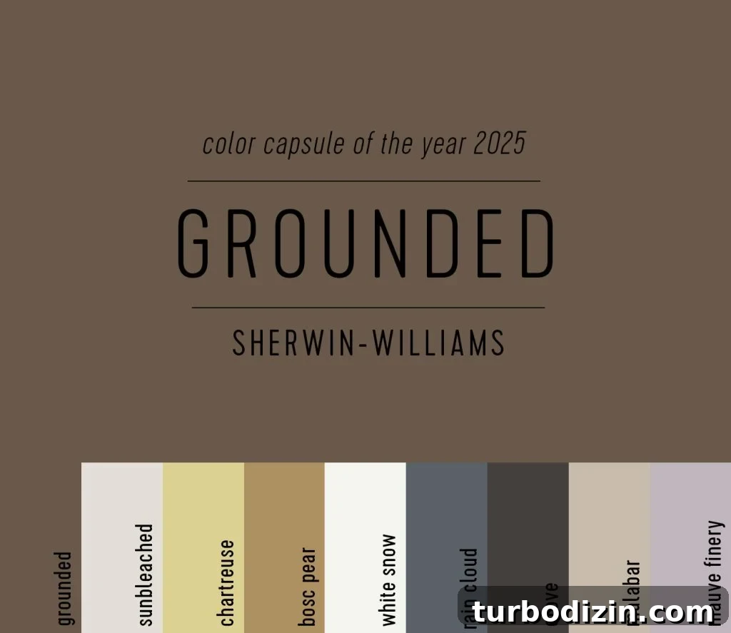 All 2025 Colors of the Year: Complete Guide in One Place 9 Sherwin Williams Paint Color Capsule of the Year 2025 Grounded