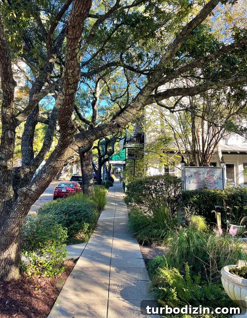 Weekend Escape to Ocean Springs: Coastal Things to Do and See 19 Narrow Sidewalk In Cute Downtown Shopping Area of Ocean Springs Mississippi