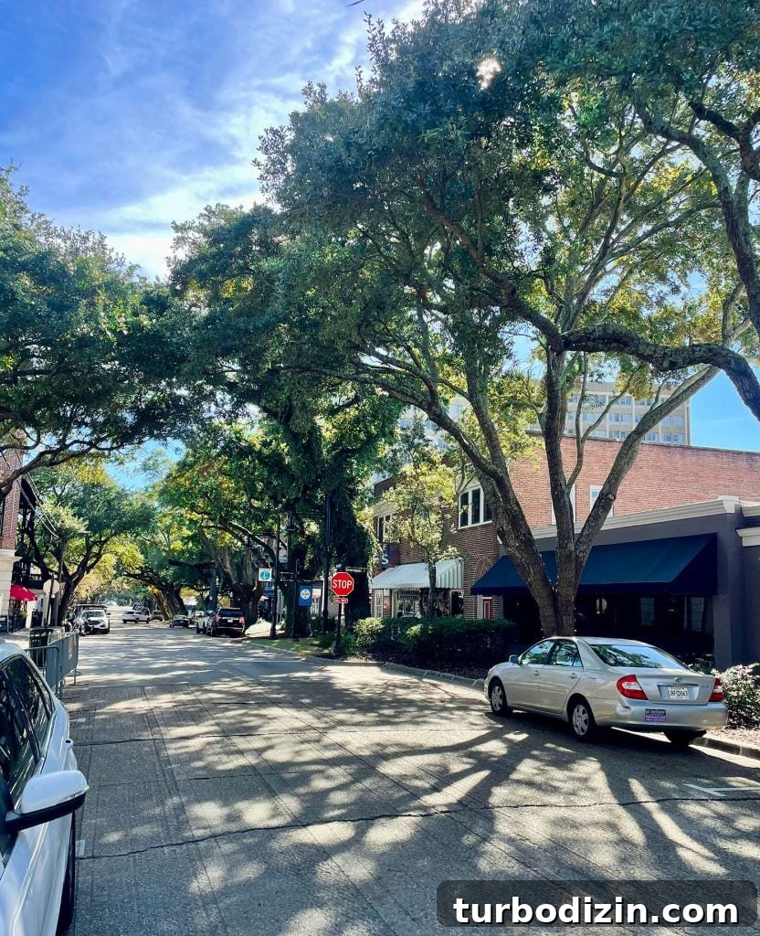 Weekend Escape to Ocean Springs: Coastal Things to Do and See 4 Quanity Shopping Street In Ocean Springs Mississippi