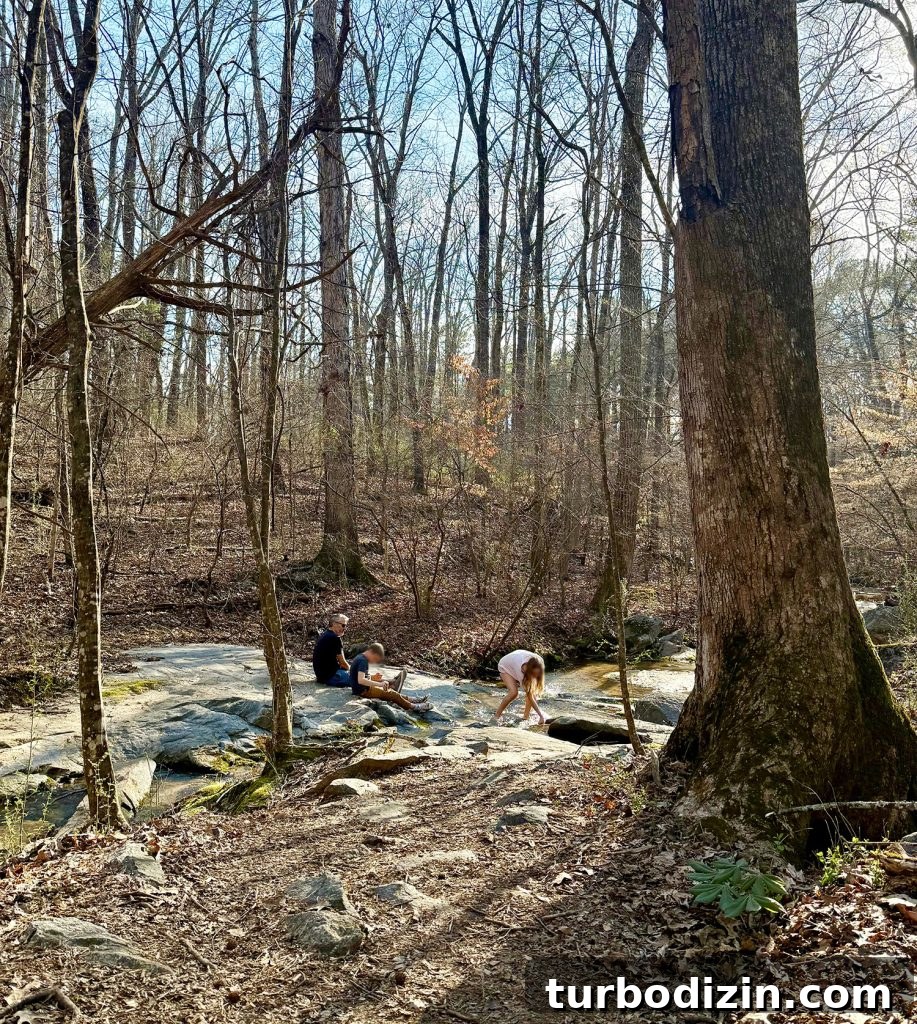 Weekend Escape to Serenbe, Georgia: What to See & Do 7 Family Playing In Creek In Serenbe Georgia