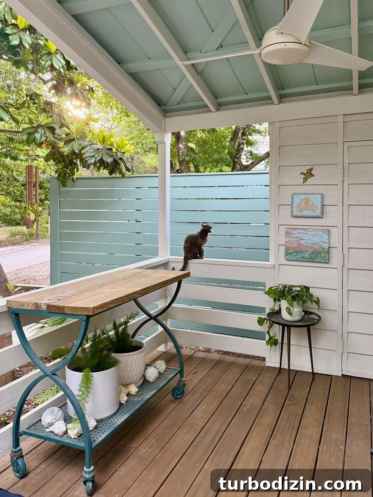 How I Reduced My Cat Allergies: Treatments That Helped Me 4 Cat Sitting On Railing Of Front Porch