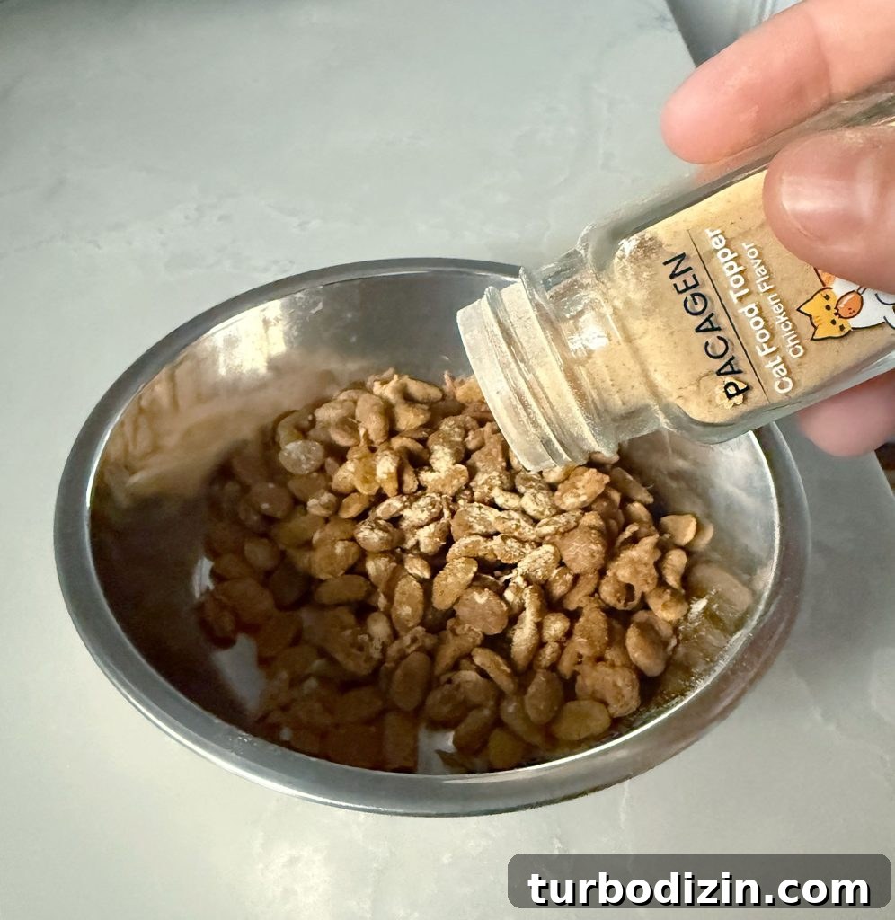 How I Reduced My Cat Allergies: Treatments That Helped Me 5 Shaking Pacagen Cat Food Topper on Dry Cat Food
