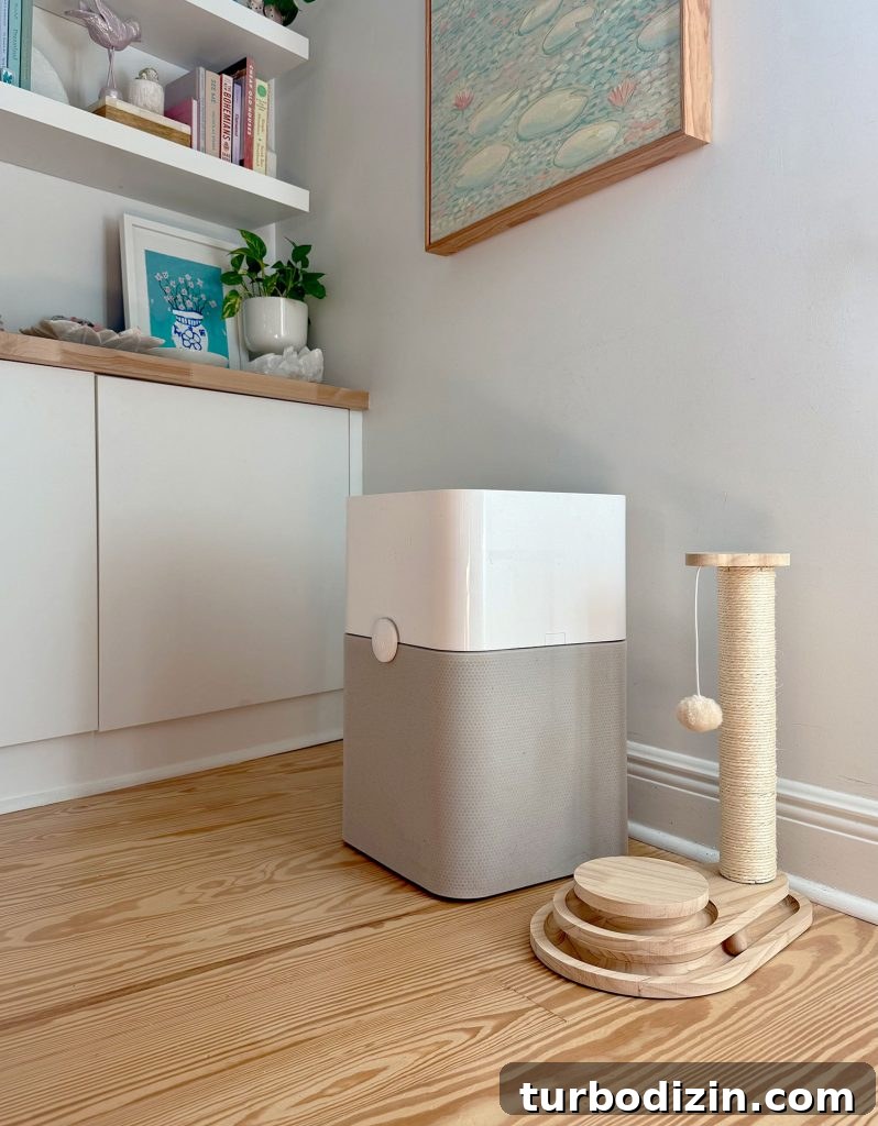 How I Reduced My Cat Allergies: Treatments That Helped Me 6 BlueAir Air Purifier On Floor Next to Cat Scratching Post
