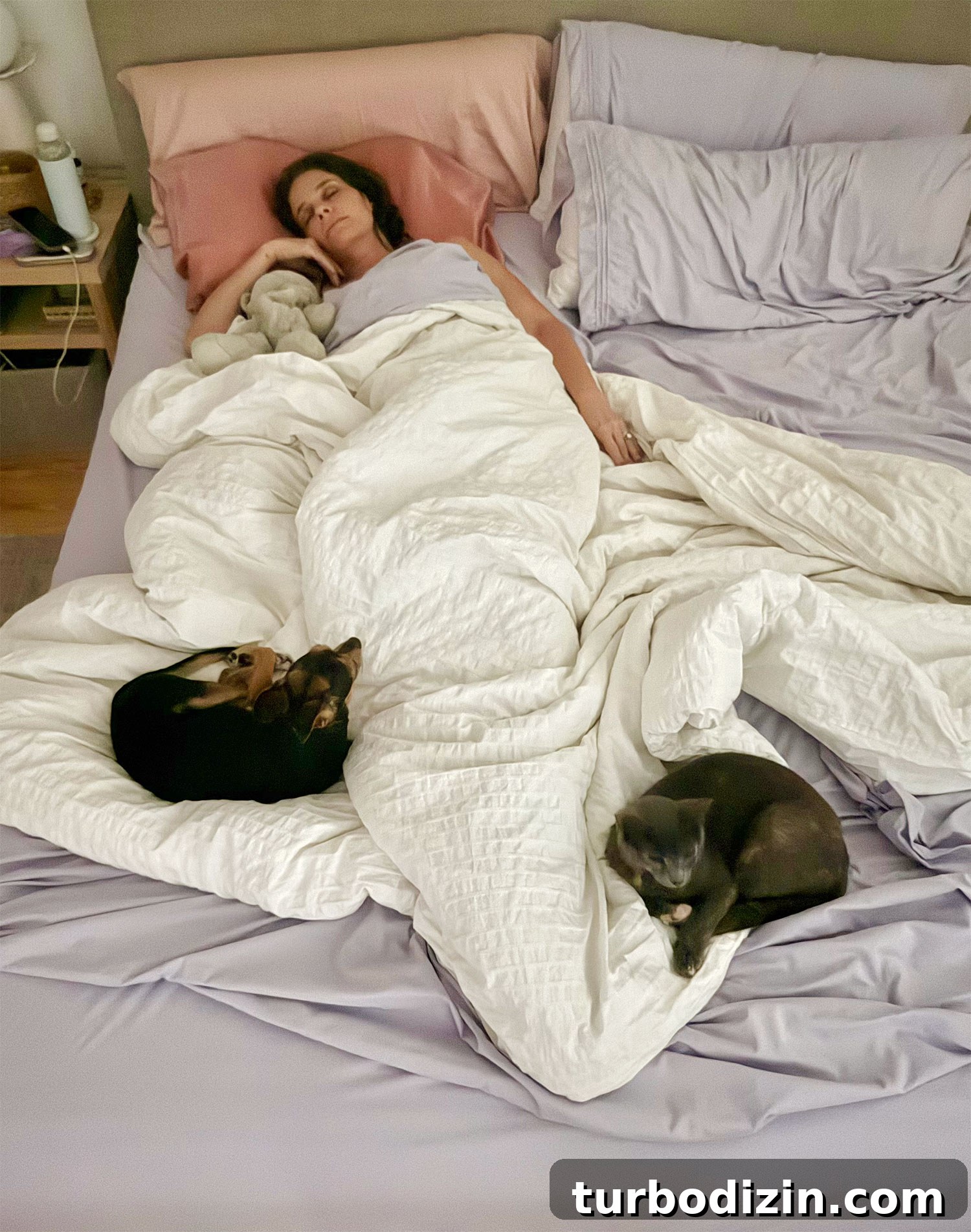 How I Reduced My Cat Allergies: Treatments That Helped Me 7 Sherry Sleeping In Bed With Dog and Cat At Her Feet
