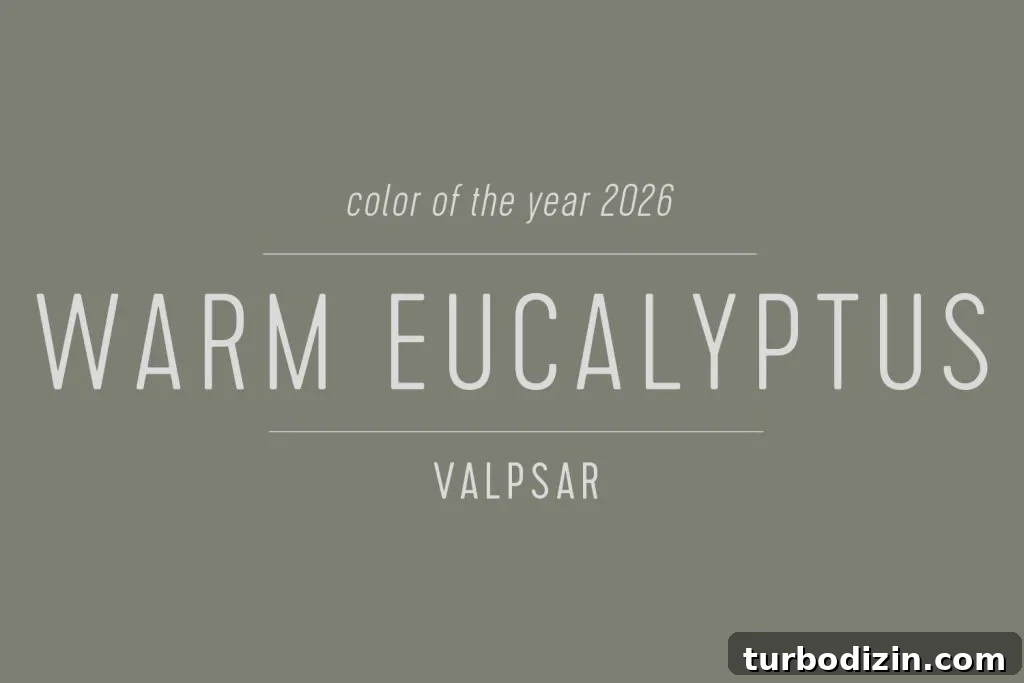 Every 2026 Color of the Year: A Complete Guide to 2026 Hues 16 Swatch of Valspar Color of the Year 2026 Warm Eucalyptus