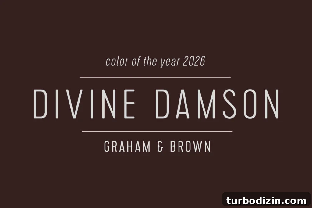 Every 2026 Color of the Year: A Complete Guide to 2026 Hues 28 Graham and Brown Color of the Year 2026 Divine Damson Swatch