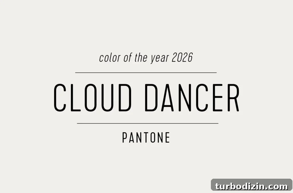 Every 2026 Color of the Year: A Complete Guide to 2026 Hues 5 Swatch of Pantone Color of the Year 2026 Cloud Dancer