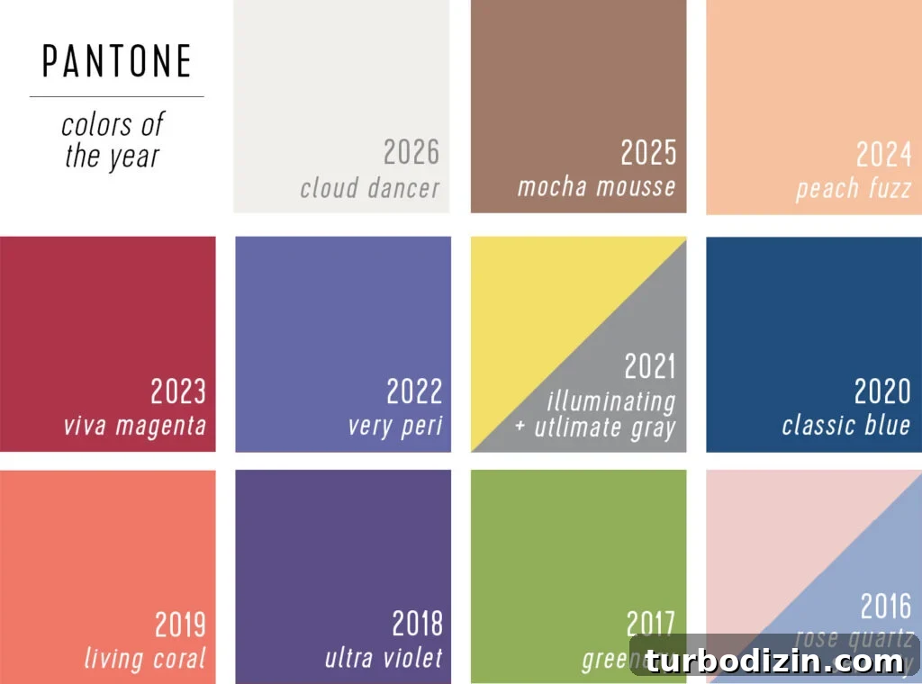 Every 2026 Color of the Year: A Complete Guide to 2026 Hues 6 Pantone Colors of The Year 2016 to 2026